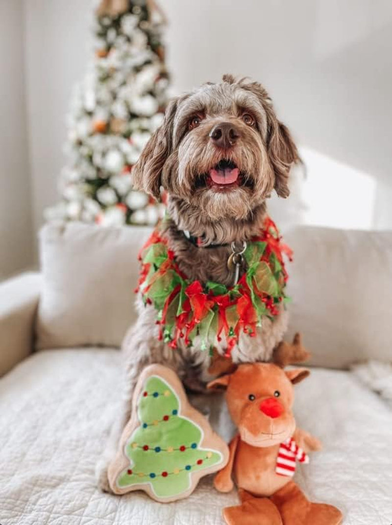The Best 5 Holiday Gift Ideas For Pets Lovers