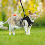 Ultimate Adjustable Cat Harness and Leash Set with Reflective Straps for Safe and Stylish Adventures