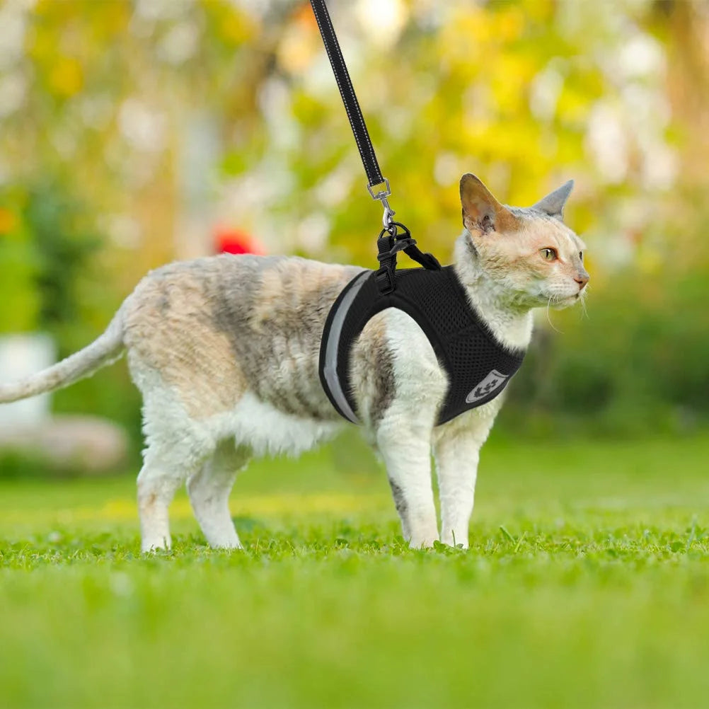 Ultimate Adjustable Cat Harness and Leash Set with Reflective Straps for Safe and Stylish Adventures
