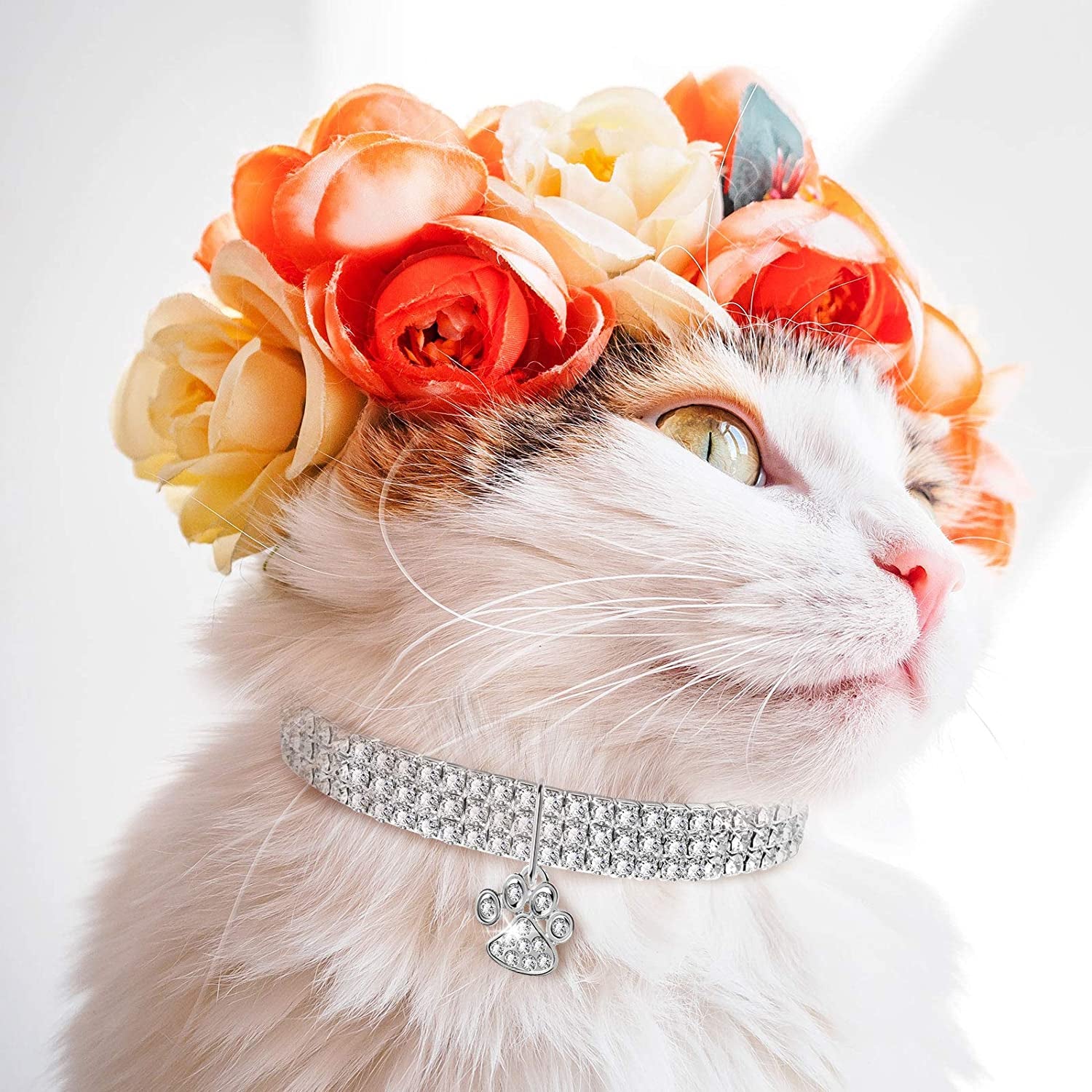 Adjustable Rhinestone Dog and Cat Collars with Glitter Pendant – Set of 3 for Small Pets (White)