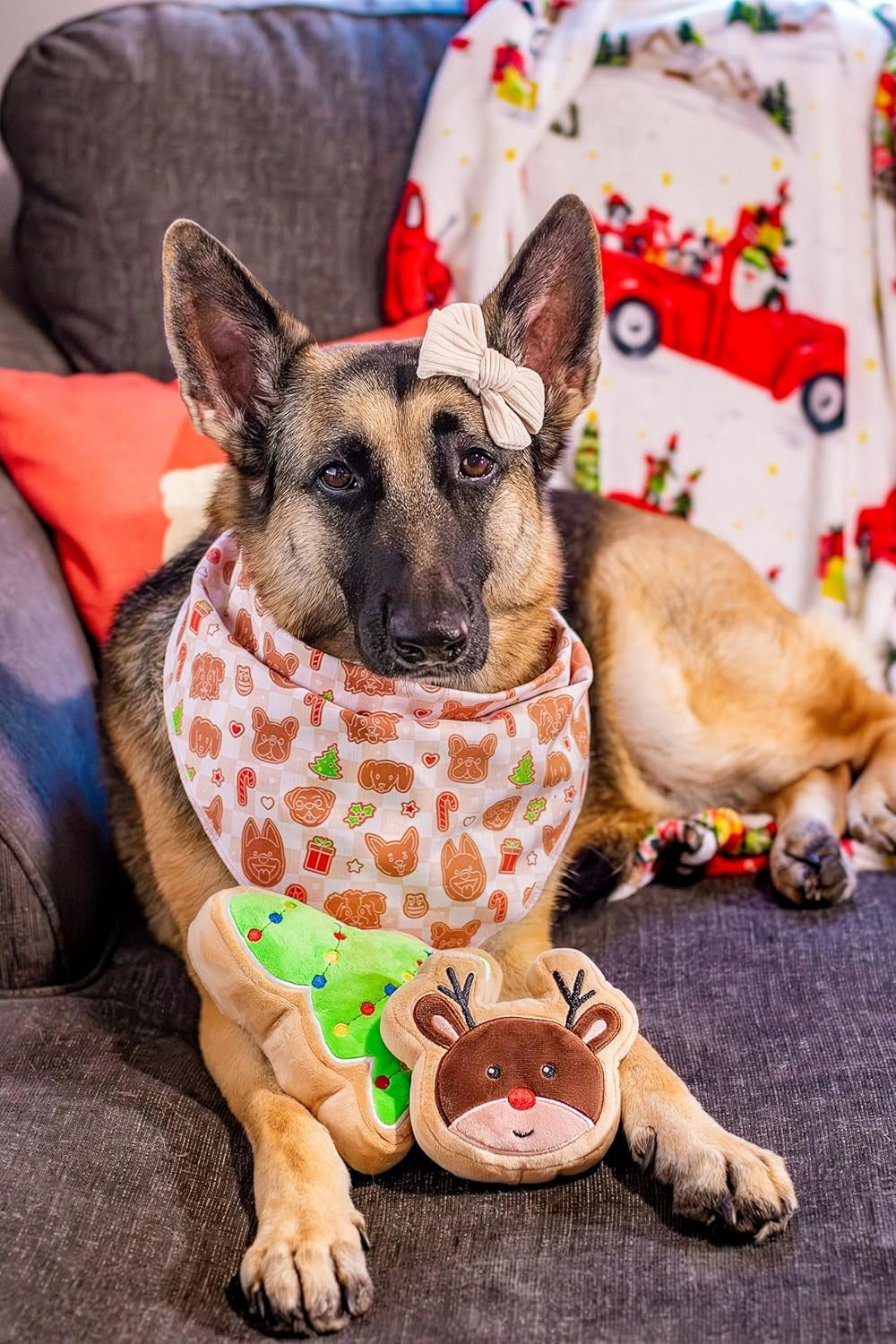 Christmas Sugar Cookie Plush Dog Toy - Small Stuffed Squeaker Holiday Toy for Pets