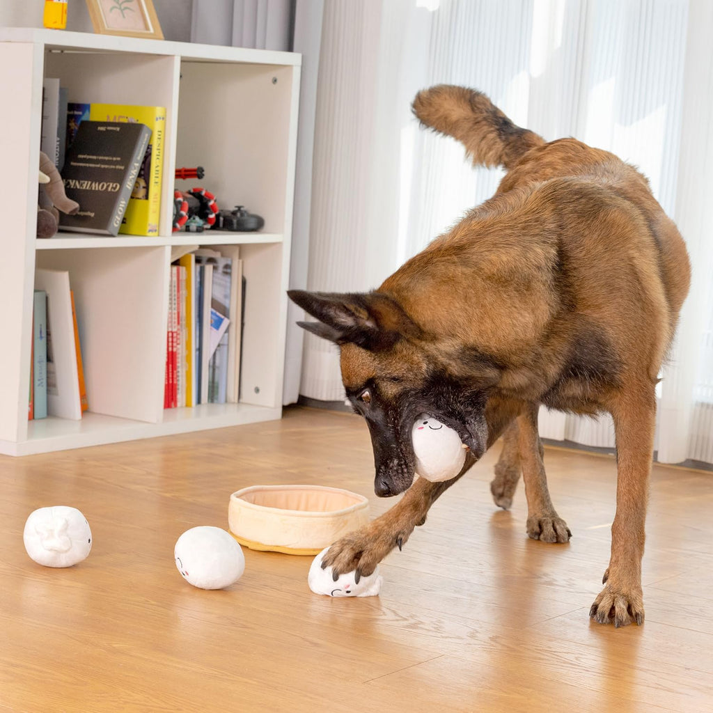 Interactive 5-Pack Squeaky Dog Toys – Durable Plush Chew Toys for Puppies and Dogs of All Sizes