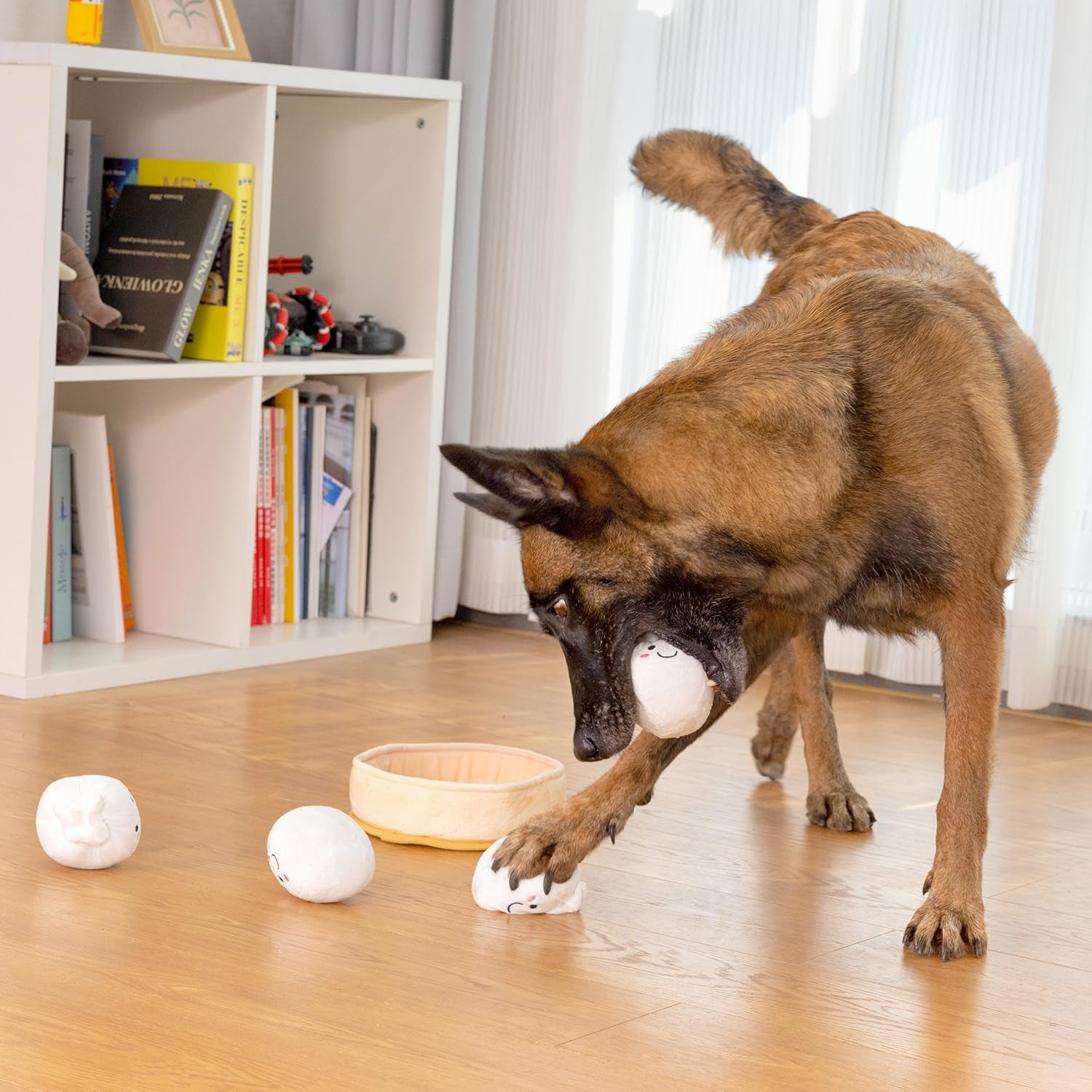 Interactive 5-Pack Squeaky Dog Toys – Durable Plush Chew Toys for Puppies and Dogs of All Sizes