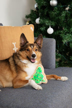 Christmas Sugar Cookie Plush Dog Toy - Small Stuffed Squeaker Holiday Toy for Pets