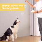 Interactive 5-Pack Squeaky Dog Toys – Durable Plush Chew Toys for Puppies and Dogs of All Sizes