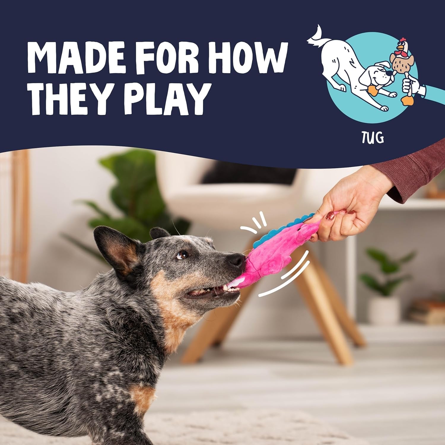 Gators Squeaky Plush Dog Toy - Extra Durable with Chew Guard Technology