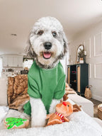 Christmas Sugar Cookie Plush Dog Toy - Small Stuffed Squeaker Holiday Toy for Pets