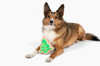 Christmas Sugar Cookie Plush Dog Toy - Small Stuffed Squeaker Holiday Toy for Pets