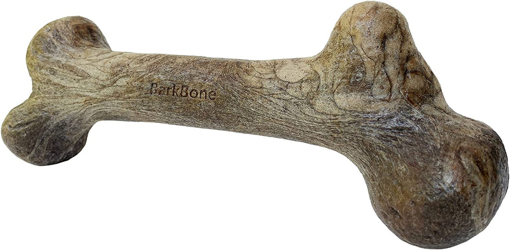 Dinosaur Barkbone - Ultimate Tough Nylon Chew Toy for Aggressive Chewers with Irresistible Bacon Flavor - 6.5 Inches of Fun!